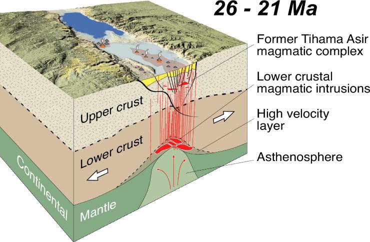 Illustrazione delle prime fasi (Sanfilippo et al., 2025 FOTO) - marinecue.it