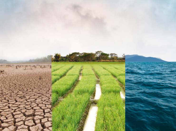 Illustrazione di alcuni ambienti in trasformazione (Canva foto)-marincue.it