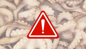 Illustrazione di alcuni polpi (Canva FOTO) - marinecue.it