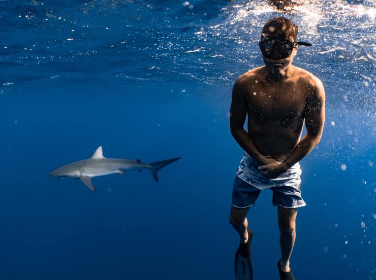 Illustrazione di un ragazzo mentre nuota con uno squalo (Canva FOTO) - marinecue.it