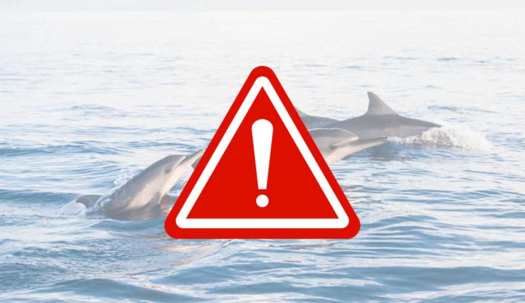 Illustrazione di una situazione pericolosa (Canva FOTO) - marinecue.it