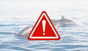 Illustrazione di una situazione pericolosa (Canva FOTO) - marinecue.it