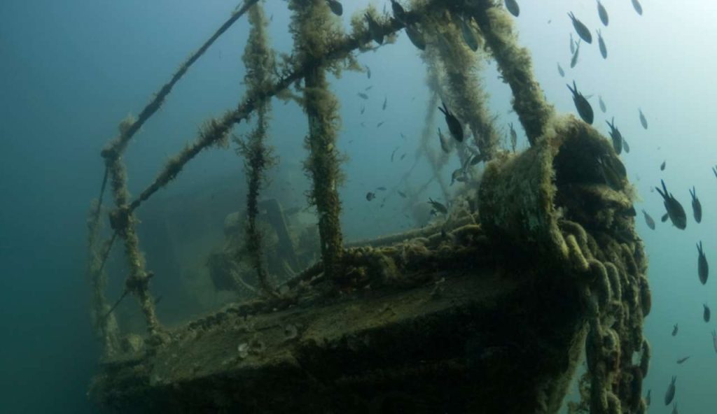 Illustrazione di un'antica nave (canva FOTO) - marinecue.it