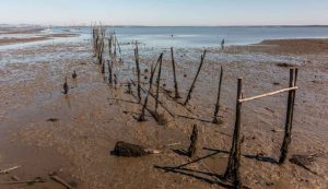 Innalzamento delle maree