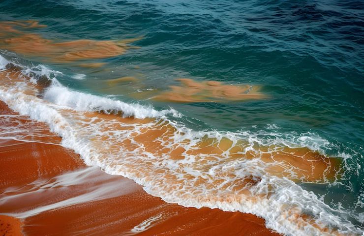 Mar Rosso