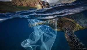 Plastica in mare