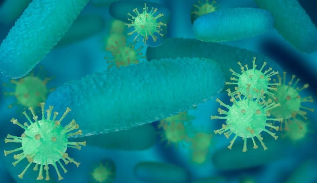 Il microbo più abbondante degli oceani rischia il collasso: colpa del riscaldamento globale