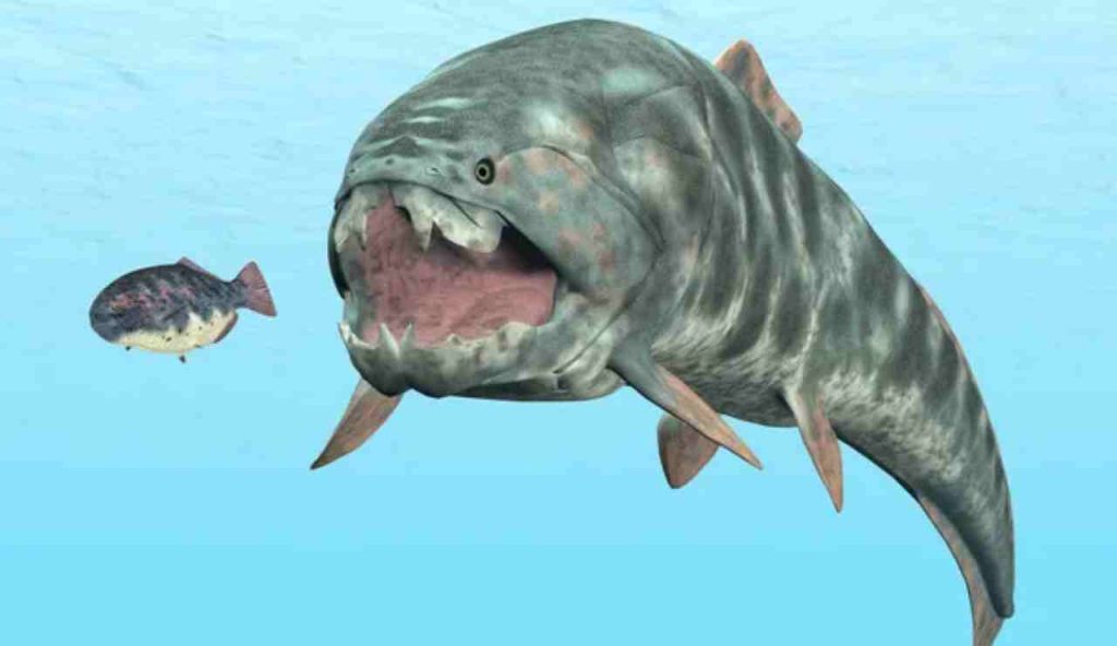 Pesce preistorico