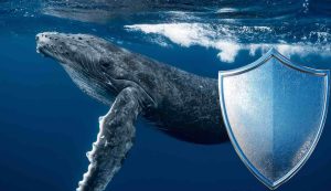 Lunga vita alle balene