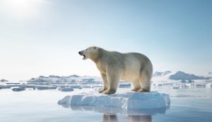 Un processo, forse, irreversibile