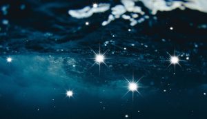 Un ritrovamento maestoso