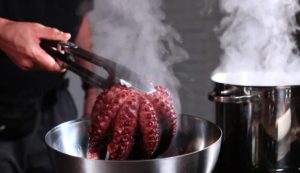 ucinare un polpo (Depositphotos foto) - www.marinecue.it