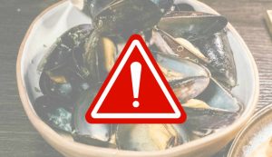 Illustrazione di un piatto di cozze (Canva FOTO) - marinecue.it