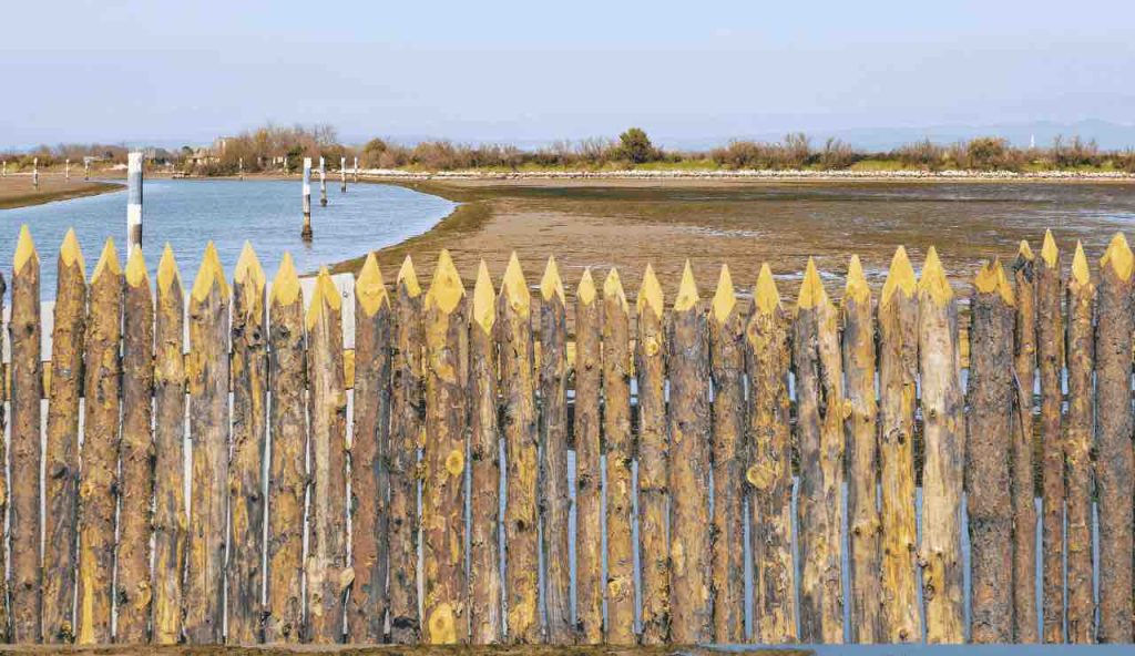 Ma di che si tratta?