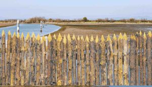 Ma di che si tratta?