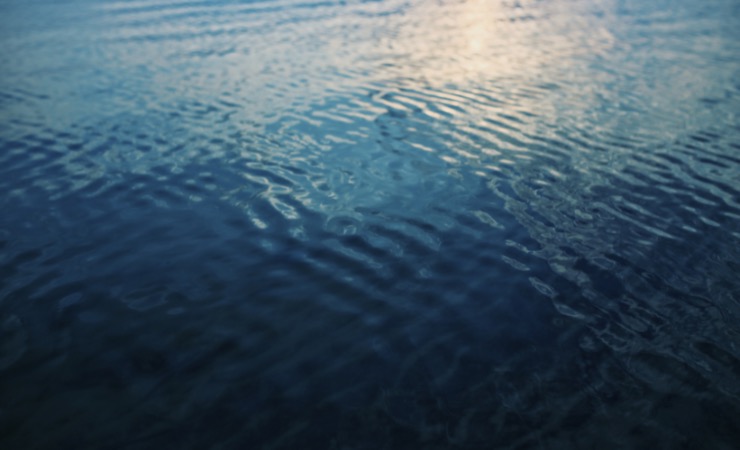 Un problema per gli squali