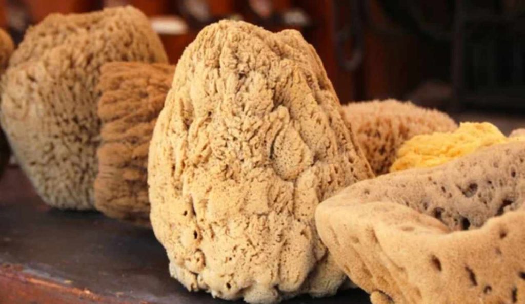 Spugne di mare in commercio (Depositphotos foto) - www.marinecue.it