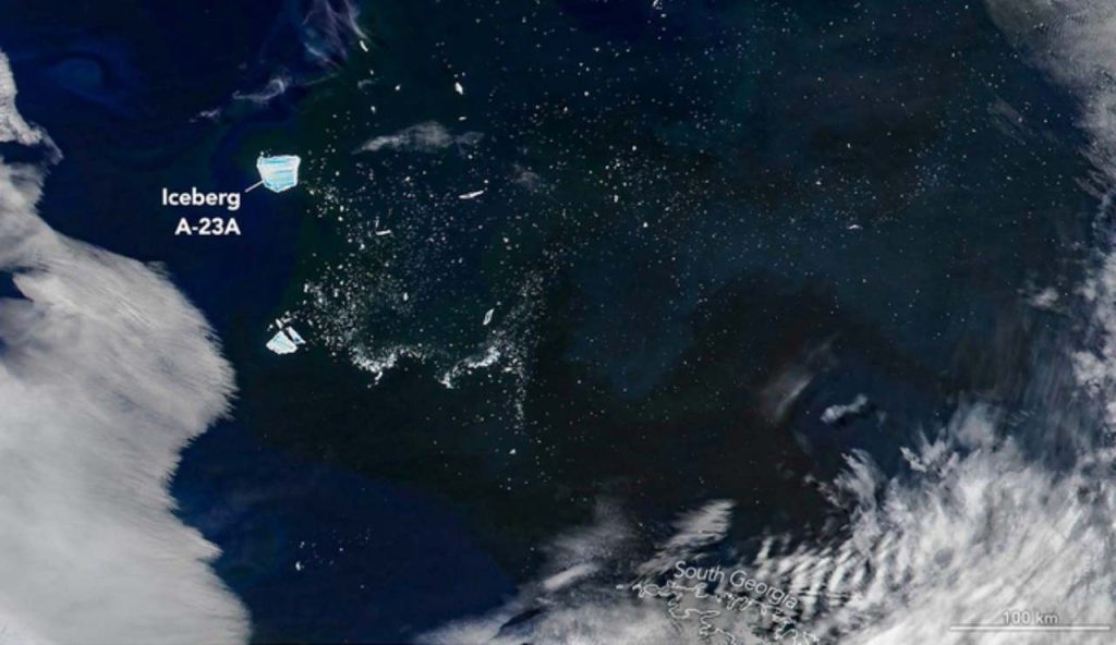 A-23A, il mega-iceberg antartico ha alimentato un’esplosione di fitoplancton nell’Atlantico meridionale